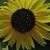 Juanita Brown's profile image