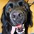 Emily Savioli Molinsky's profile image