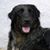 Gwen Roseman's profile image