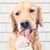 Dina Hussain's profile image