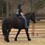 Sandra Billeter Dean's profile image