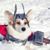 Shyla Middleton's profile image