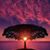 Daniel Hamaker's profile image