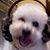 Debbie Levine's profile image