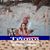 Showneen Delina Vetzel Hall's profile image