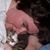 Diane Desselle's profile image