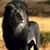 Oni Manns's profile image
