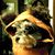 Anna Navarro Aguirre's profile image