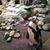 Judy Bonsall's profile image