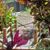 Maureen Miller's profile image