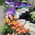 Kathy Kane-Lusk's profile image