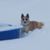 Jolie Ellis's profile image