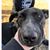 Nancy Ellis Seay's profile image