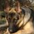 Beth Quinn Randolph's profile image