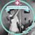 Becky Froman's profile image