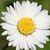 Peggy Oliva's profile image