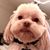 Renee Lewis Davis's profile image