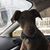 Sandy Jarosz Kozlowski's profile image