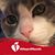 Linda Hollimon's profile image