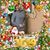 Nicole Bongiovanni's profile image