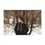 Araz Atrushi's profile image
