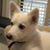Dave Popkin's profile image