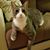 Catherine Hoepfer's profile image