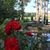 Eileen White Mattox's profile image