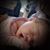 Steven Weakley's profile image