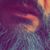 Frank Bustamante's profile image