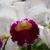Jeanel Quevedo's profile image