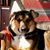 F.A. Stansbury's profile image