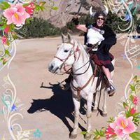 Shelly Jo Oppen's profile image