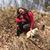 Sara Ann Fetyko's profile image