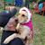 Eke Tarvin's profile image