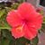 Cathy Dowland's profile image