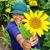 Eloisa Saunders's profile image