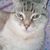 Kathleen Dickson's profile image