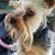 Yvonne K Schaffer-Lopez's profile image