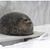 Randy Reed's profile image