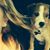 Sarah L Kluczkowski's profile image