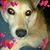 Rebecca Hyle's profile image