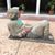 Duane Mccallum's profile image