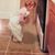Alice Maudlin's profile image
