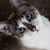 Cindy Forman's profile image