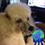 Dolores Hall's profile image
