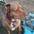 Debra Jarus's profile image