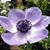 Karen Maxwell's profile image