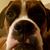 Steven Foster's profile image