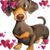 Martha Pond Deal Hatter's profile image